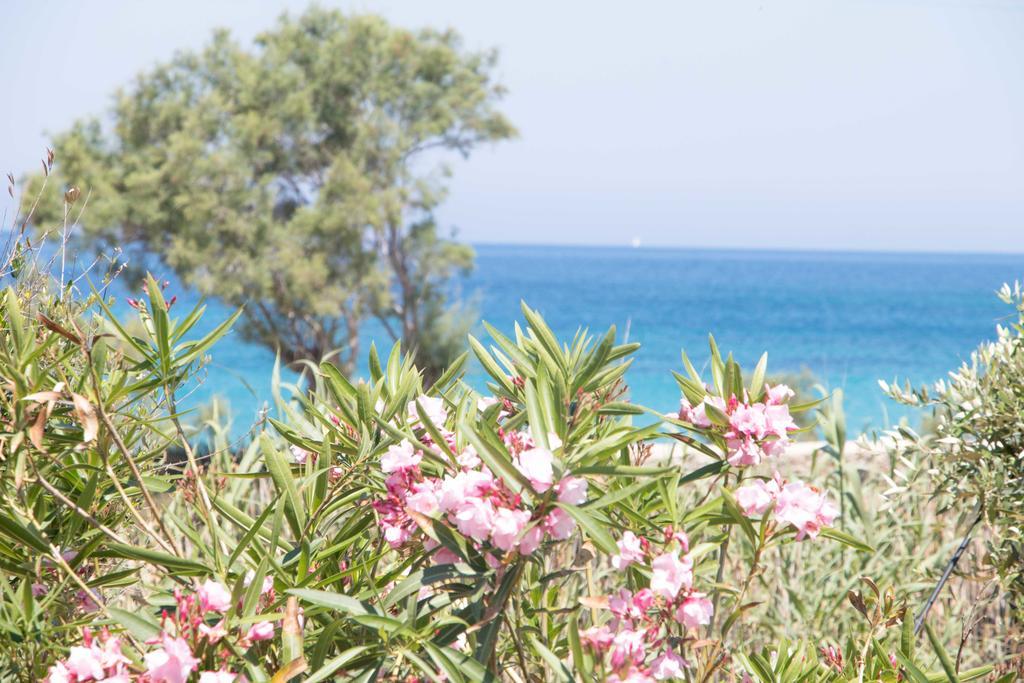Villa Yialos Antiparos Town Exteriér fotografie